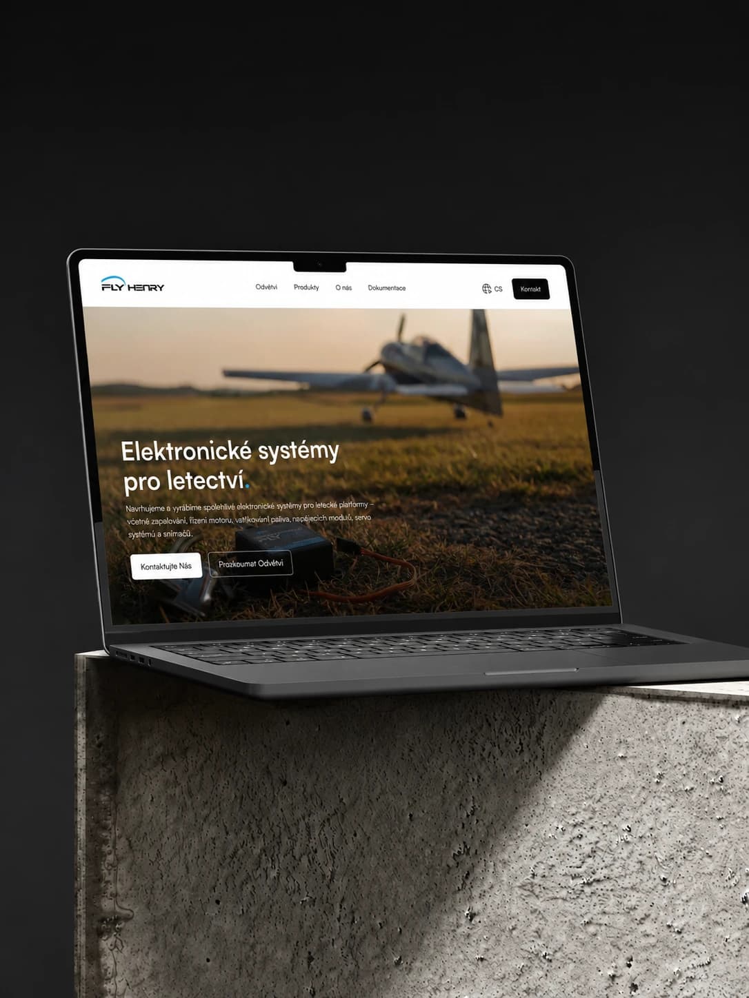 Fly Henry aviation electronic systems